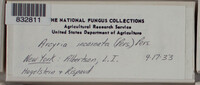 Image Associated With the Occurence